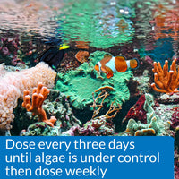 Thumbnail for API MARINE ALGAEFIX Algae Control 16-Ounce Bottle