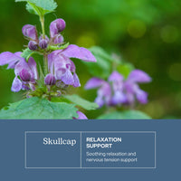 Thumbnail for Eclectic Herb - Skullcap Capsules | Natural Sleep, Calm & Relaxation Support | Herbal Supplement | Vegan, Non-GMO, Gluten Free, Raw, Freeze-Dried (90 CT | 350 mg)