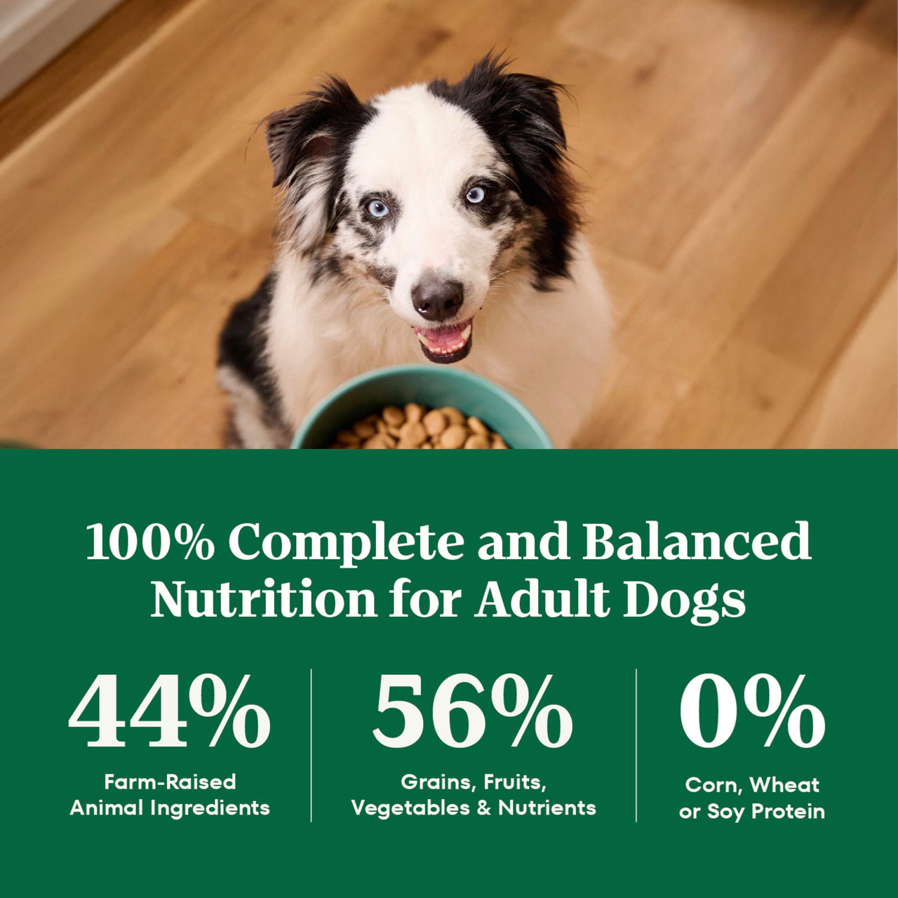 Nutro Natural Choice Dry Dog Food, Adult Dog Food Dry Chicken and Brown Rice Recipe, 5 lbs.
