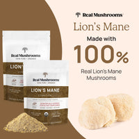 Thumbnail for Real Mushrooms Lions Mane Powder - Organic Mushroom Extract for Cognitive Function Immune Support Brain Supplements Memory and Focus Vegan Supplement, 150 Servings