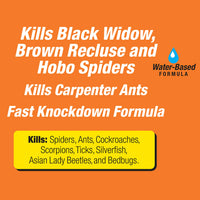Thumbnail for TERRO T2302-6 Spider Killer Spray for Indoors and Outdoors - Kills Spiders, Ants, Roaches, Scorpions, Ticks, Silverfish, and Other Insects