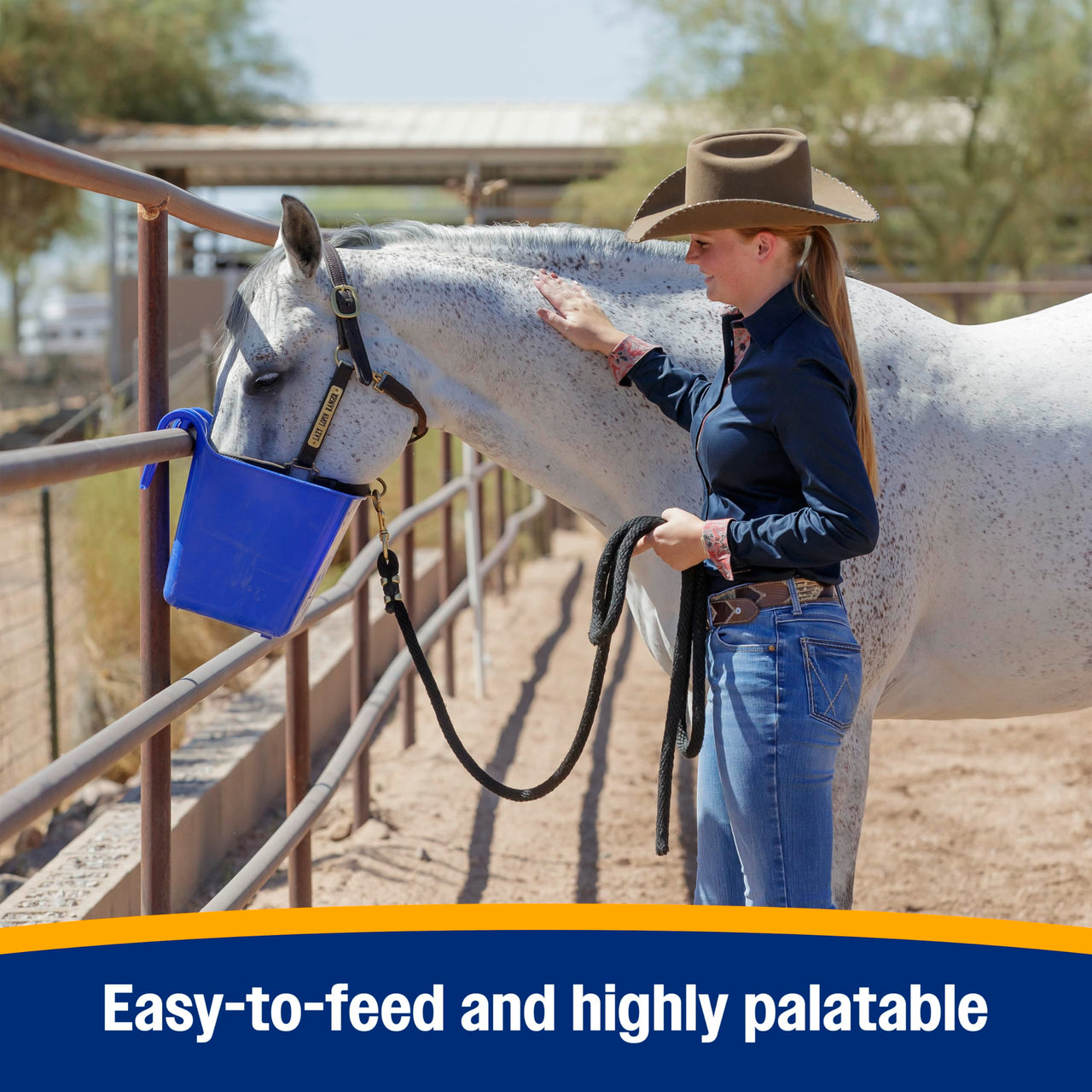 Farnam SimpliFly Feed Through Fly Control for Horses, 3.75 lbs, 60 Day Supply, EPA-Approved Pellets to Prevent Stable Flies in Manure – Safe, Palatable Daily Supplement for Fly Population Control