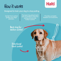 Thumbnail for Halti No Pull Harness - Stop Your Dog Pulling on the Leash. Adjustable, Lightweight and Easy to Use. Reflective Dog Training Harness for Medium Dogs (Size M, Black)