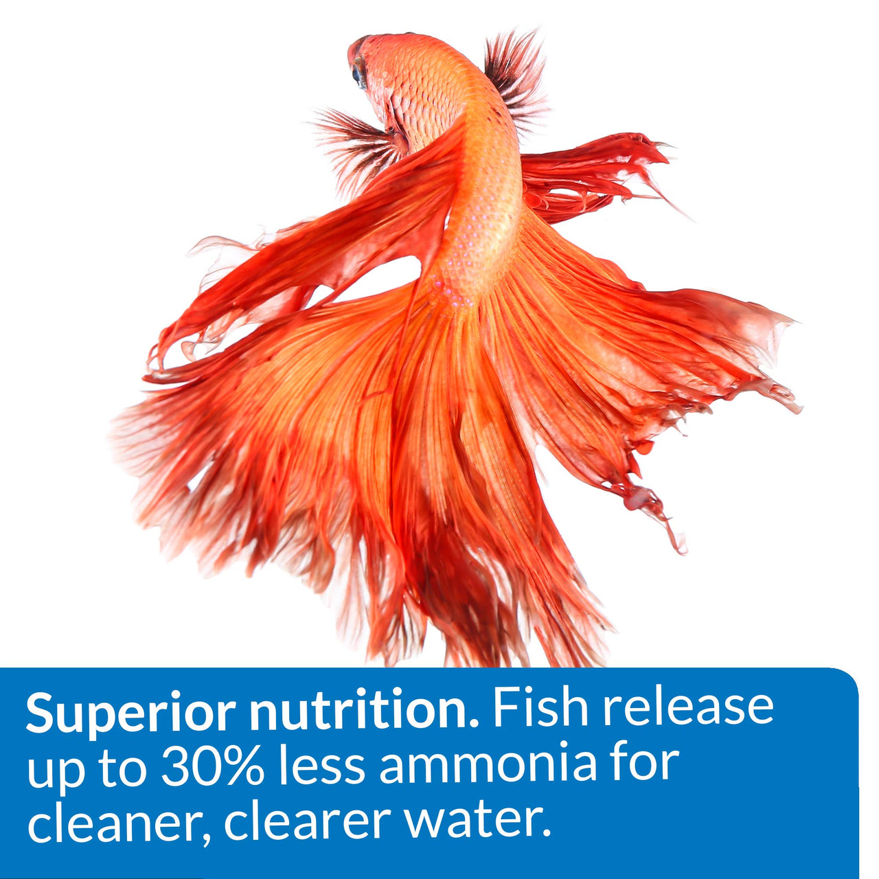 API BETTA FOOD Fish Food Pellet .78-Ounce Container