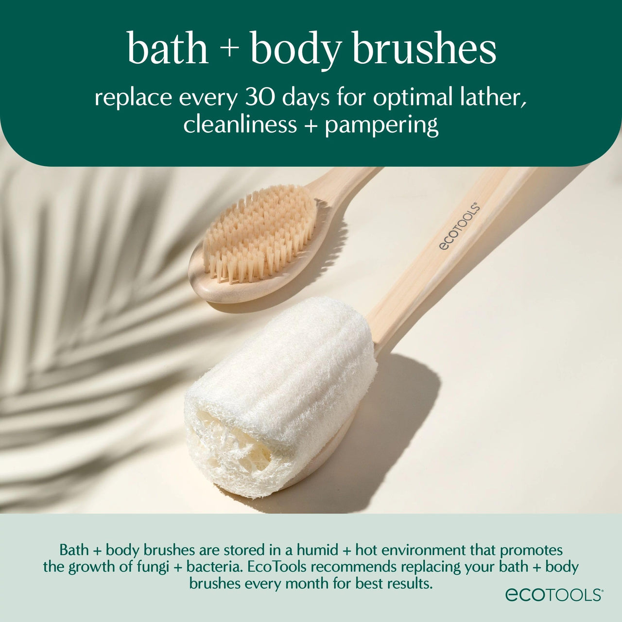EcoTools Dry Body Brush, Dry Brushing Body Brush for Smooth Skin, Exfoliating Brush Removes Dry Skin, Easy-to-Use Handle, Eco-Friendly Dry Brush, Synthetic Cruelty-Free Bristles, 1 Count