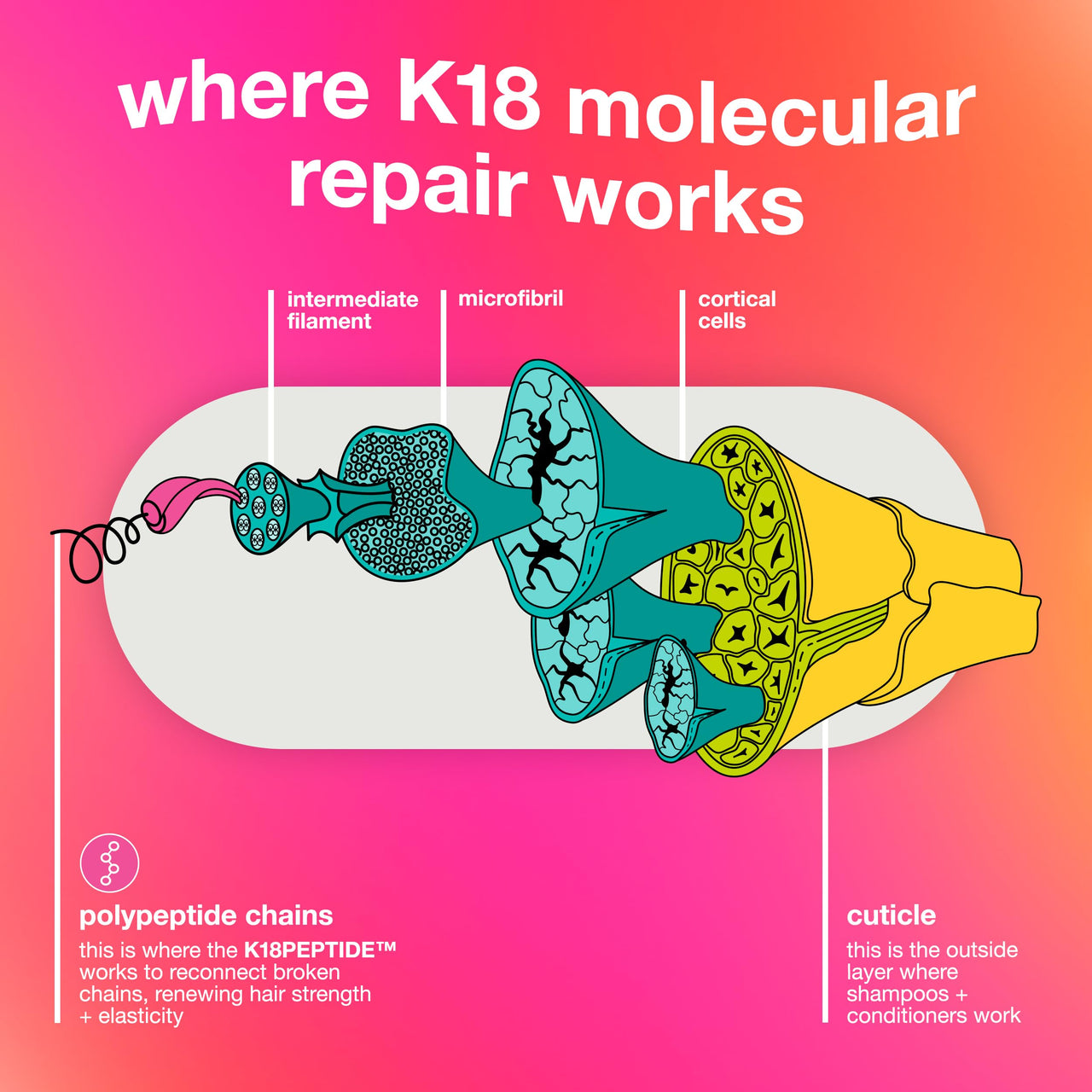 K18 Leave-In Molecular Repair Hair Mask, Patented, Lasting Repair For Dry, Frizzy, Damaged Hair, Reverse Damage In 4 Minutes From Bleach, Color, Chemical Services + Heat