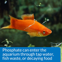 Thumbnail for API Phosphate Test Kit For Freshwater And Saltwater, 64 OUNCES