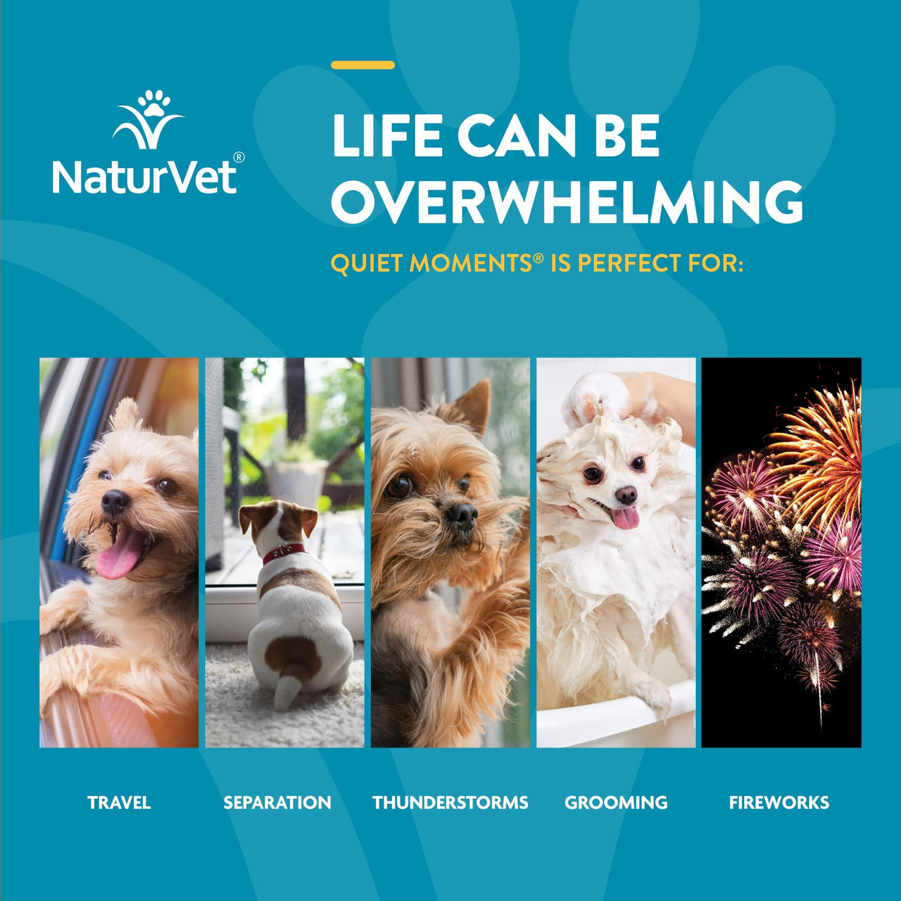 NaturVet Scoopables Quiet Moments Dog Calming Aid for Dogs - Promotes Calm with Stressful Events Like Storms, Fireworks, Travel, Separation Anxiety - Hickory Smoked Bacon Flavored | 11oz Bag