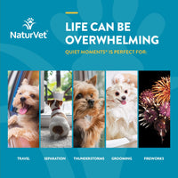 Thumbnail for NaturVet Scoopables Quiet Moments Dog Calming Aid for Dogs - Promotes Calm with Stressful Events Like Storms, Fireworks, Travel, Separation Anxiety - Hickory Smoked Bacon Flavored | 11oz Bag