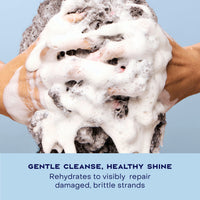 Thumbnail for Shea Moisture Shampoo Hydrate and Repair for Damaged Hair with Manuka Honey and Shea Butter 13 oz