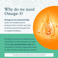 Thumbnail for Youtheory Ocean-Friendly Omega - Algae Omega 3 Supplement with EPA & DHA - Supports Brain & Eye Health* - Plant-Based - for Pescatarian & Vegan Diets - 60 Softgels (30-Day Supply)