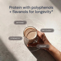 Thumbnail for Blueprint Bryan Johnson Chocolate Protein Powder – Vegan Plant-Based Supplement with Cocoa Powder – Clean Ingredients – 26g Protein per Serving – Non-GMO – 30 Servings