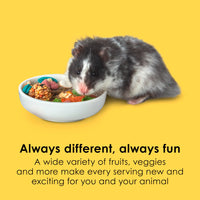 Thumbnail for Kaytee Fiesta Hamster & Gerbil Food, Nutritious and Fun Blend, Supports Dental Health and Digestion, 4.5 pounds