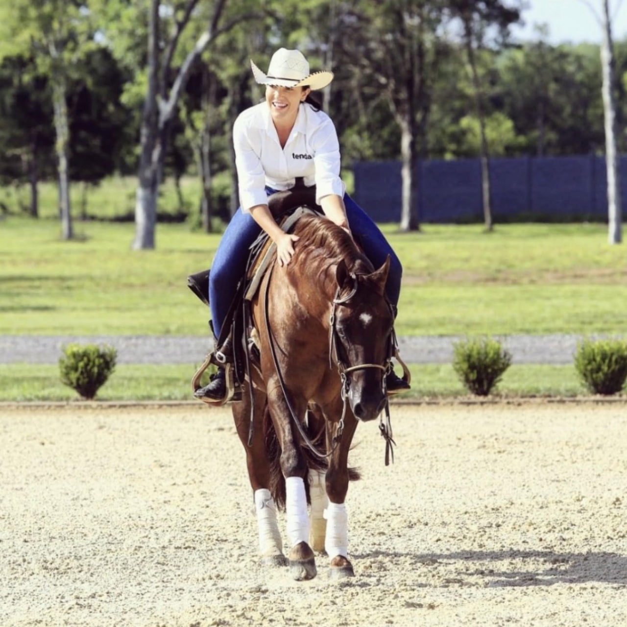 Tenda Energy & Recovery Paste - Fast Finish - A Test Free Pre-Race Paste That is A Superior Source of Energy for The Equine Athlete