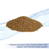 Thumbnail for Aqueon Nutrinsect Fish-Free Fish Food, Tropical Pellets, 1.76 oz