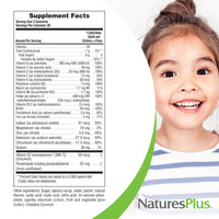 Thumbnail for NaturesPlus Animal Parade Multivitamin Children's Gummies - 90 Count - Assorted Cherry, Grape & Orange Flavors - Supports Immune System - Vegetarian, Gluten Free - 30 Servings