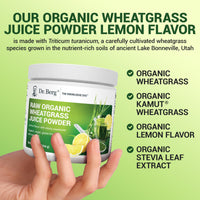 Thumbnail for Dr. Berg USDA Certified Organic Green Powder Superfood (60 Servings) - Made with Raw Wheatgrass, Chlorophyll, Trace Minerals & Natural Enzymes - Non-GMO Green Superfood Powder - Lemon Flavor