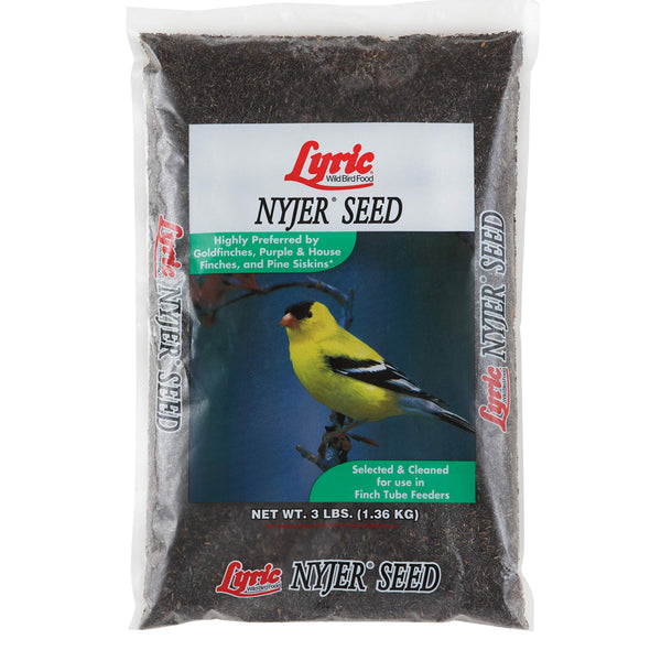 Lyric Nyjer Seed - 3 lb. Bag