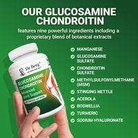 Thumbnail for Dr. Berg Glucosamine Chondroitin MSM Turmeric & Boswellia - Advanced Joint Support Supplement with 1500 mg Glucosamine Sulfate - Includes 120 Capsules