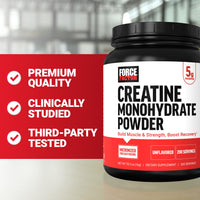 Thumbnail for Force Factor Creatine Monohydrate Powder, 5g Micronized Dose to Support Muscle Growth, Strength, Recovery, Cognitive Health & Memory, Unflavored, 200 Servings
