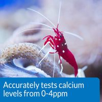 Thumbnail for API CALCIUM TEST KIT Saltwater Aquarium Water 1-Count Test Kit