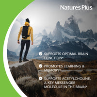 Thumbnail for NaturesPlus Huperzine Rx-Brain - 30 Tablets - Brain Support Supplement - Promotes Memory, Learning & Optimal Cognitive Function - Gluten Free - 30 Servings