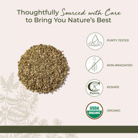 Thumbnail for Starwest Botanicals Organic Fennel Seed - Dried Spice for Seasoning, Baking, Cooking, & Tea, Natural Digestion Support, Certified Kosher, Non-GMO - Bulk 1 lb Bag