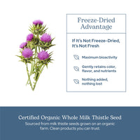 Thumbnail for Eclectic Herb - Premium Freeze Dried Milk Thistle Capsules | Silymarin Supplement | Liver Support, Detox, Cleanse + Maintain | Vegan, Natural, Non-GMO, Gluten Free (240 CT | 600 mg)