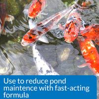 Thumbnail for API POND SIMPLY CLEAR Pond Water Clarifier 16-Ounce Bottle (248B)