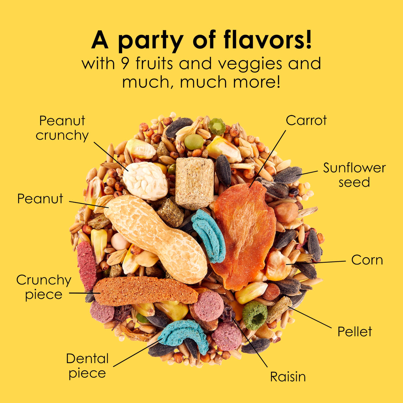 Kaytee Fiesta Mouse & Rat Food, Nutritious and Fun Blend, Supports Dental Health and Digestion, 4.5 pounds