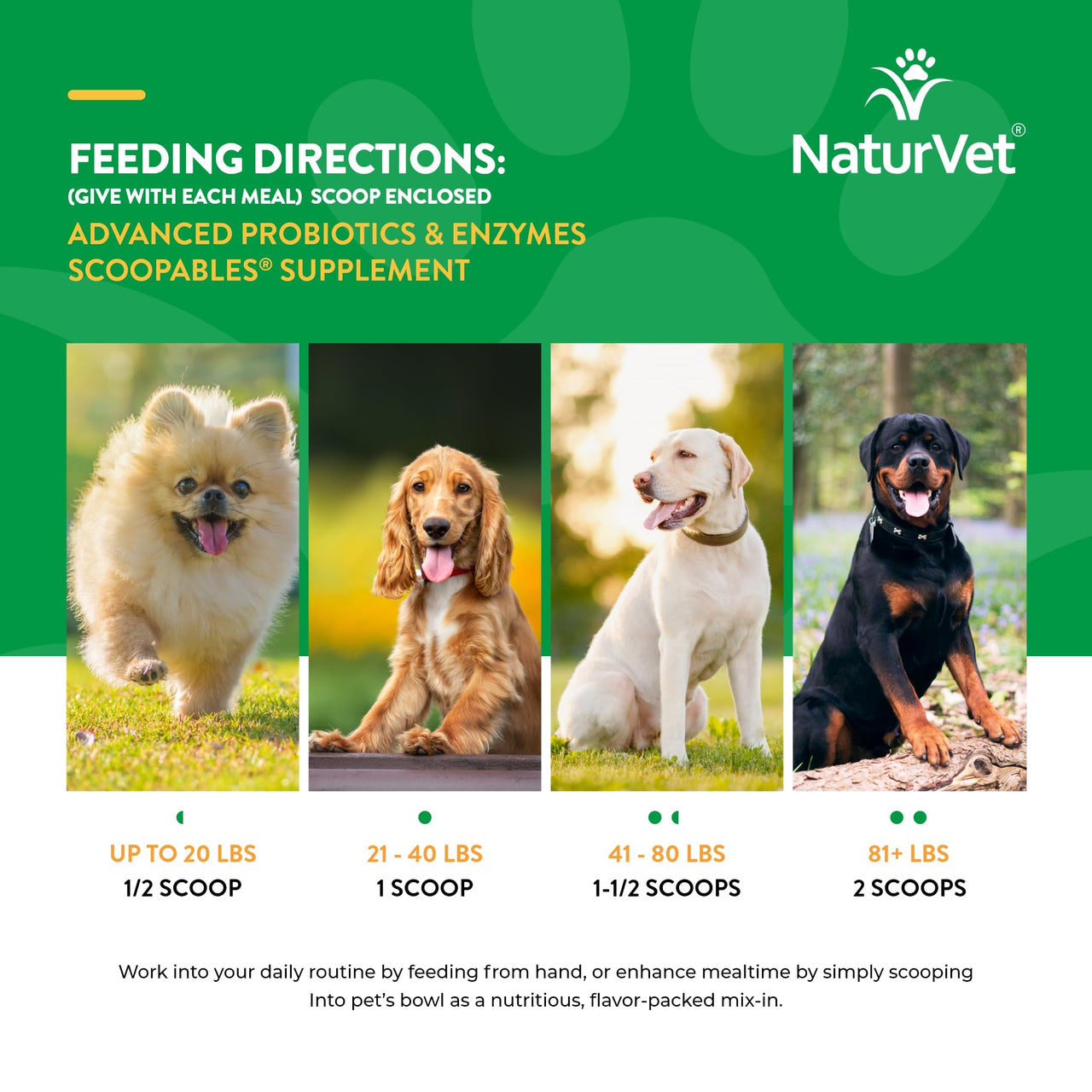 NaturVet Scoopables Advanced Probiotics for Dogs - Chewable Dog Probiotics & Digestive Enzymes - Support a Healthy Gut for Your Pet - Hickory Smoked Bacon Flavor | 11oz Bag
