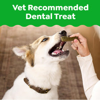 Thumbnail for Greenies Veterinarian-Recommended Adult Natural Dental Dog Treats Petite Size, Dog Dental Chews, Original Flavor, 12 oz. Pack, 20 Count
