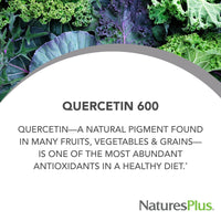 Thumbnail for NaturesPlus PRO Quercetin 600 mg - 60 Tablets - Promotes Free Radical Protection & Supports Healthy Immune Response - Non-GMO, Vegan & Gluten Free - 60 Servings