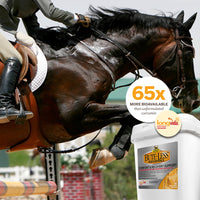 Thumbnail for Absorbine Bute-Less Performance Advanced Formula Horse Supplement Pellets, Supports Healthy Inflammatory Response & GI Tract, 3.75lb Tub / 30 Day Supply