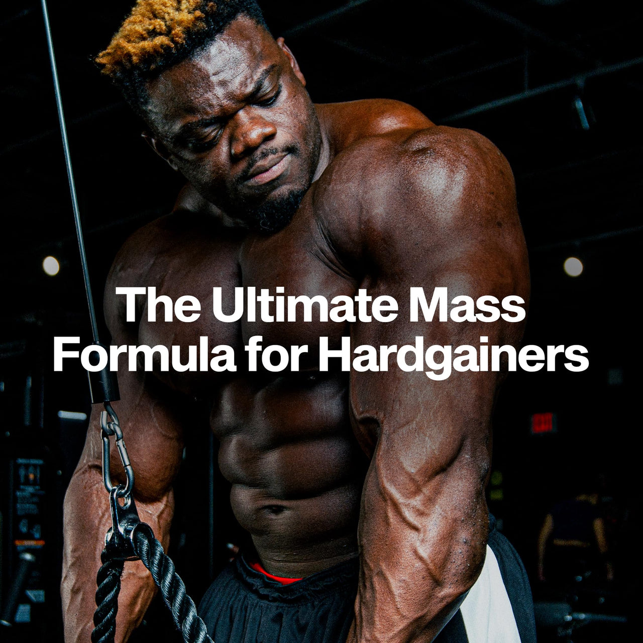 Muscletech High-Protein Mass Gainer (Vanilla Milkshake, 6LB) - Mass Tech Extreme 2000 Mass Gainer Protein Powder Supplement - Weight Gainer for Increase Muscle & Enhanced Recovery - Packaging May Vary