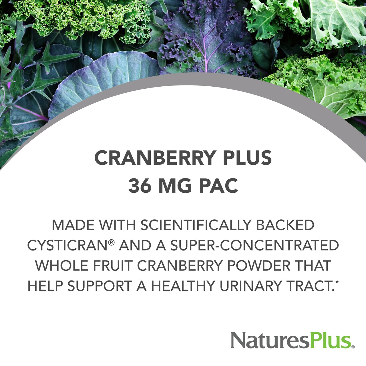 NaturesPlus PRO Cranberry Plus - 60 Capsules - Non-GMO, Gluten Free - 60 Servings