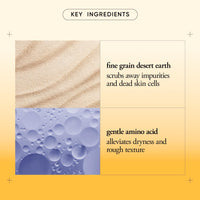 Thumbnail for philosophy microdelivery exfoliating face wash 8 fl oz