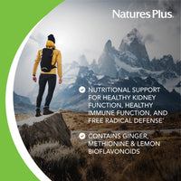 Thumbnail for NaturesPlus AgeLoss Kidney Support - 90 Tablets - with Vitamin D3 & Magnesium - Vegetarian, Gluten Free - 30 Servings