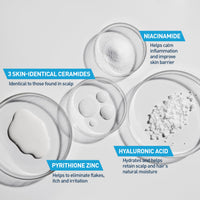 Thumbnail for CeraVe 2 In 1 Hydrating Anti Dandruff Shampoo And Conditioner, 1% Pyrithione Zinc Dandruff Treatment, Color Safe & Sulfate Free Shampoo And Conditioner, Helps Eliminate Dandruff & Relieve Itchy Scalp