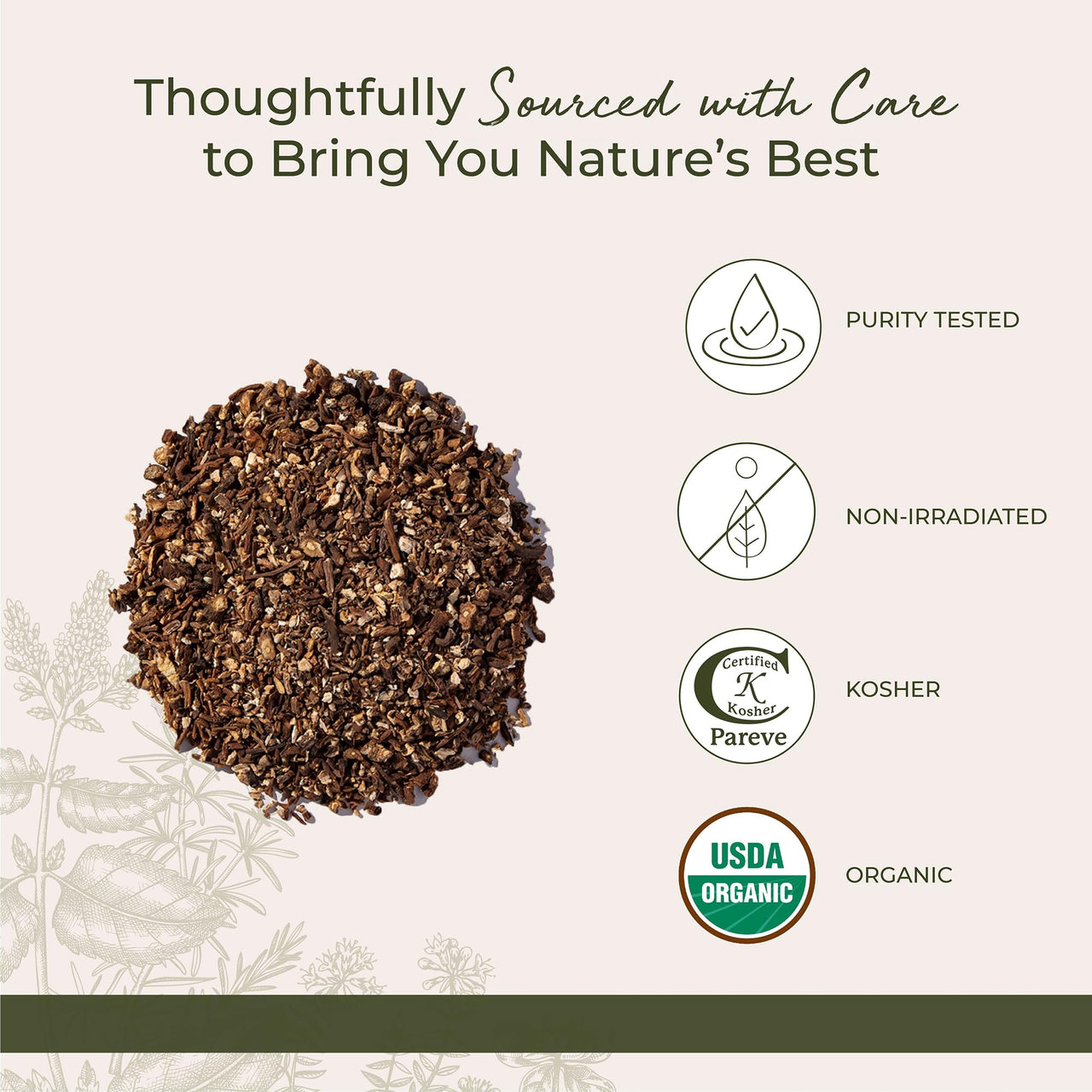 Starwest Botanicals Organic Raw Dandelion Root Tea [1 Pound] Bulk Cut & Sifted (C/S) Loose Tea