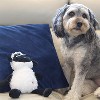 Thumbnail for SPOT Baa Baa Black Sheep Plush Dog Toy - Cute and Cuddly Fleece Toy with Squeaker for Medium to Large Dogs and Puppies, 13in Black and White Lamb