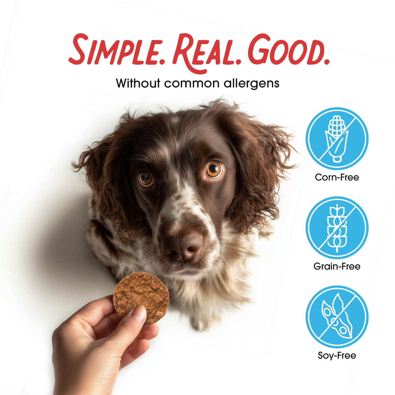 Farmland Traditions Filler Free Dogs Love Turkey & Sweet Potato Premium Jerky Treats for Dogs, 1 lb. Bag