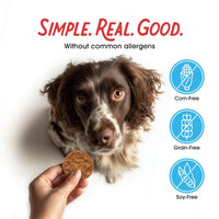 Thumbnail for Farmland Traditions Filler Free Dogs Love Turkey & Sweet Potato Premium Jerky Treats for Dogs, 1 lb. Bag