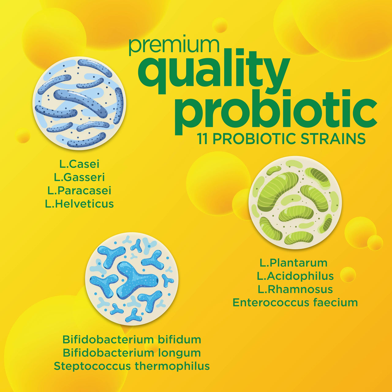 Daily Probiotic for Men & Women, Slows Digestive Aging, Boosts Immune System, Reduces Bloating, Non-GMO, Gluten Free & Soy Free, 10 Billion CFU, 30 Capsules