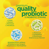 Thumbnail for Daily Probiotic for Men & Women, Slows Digestive Aging, Boosts Immune System, Reduces Bloating, Non-GMO, Gluten Free & Soy Free, 10 Billion CFU, 30 Capsules