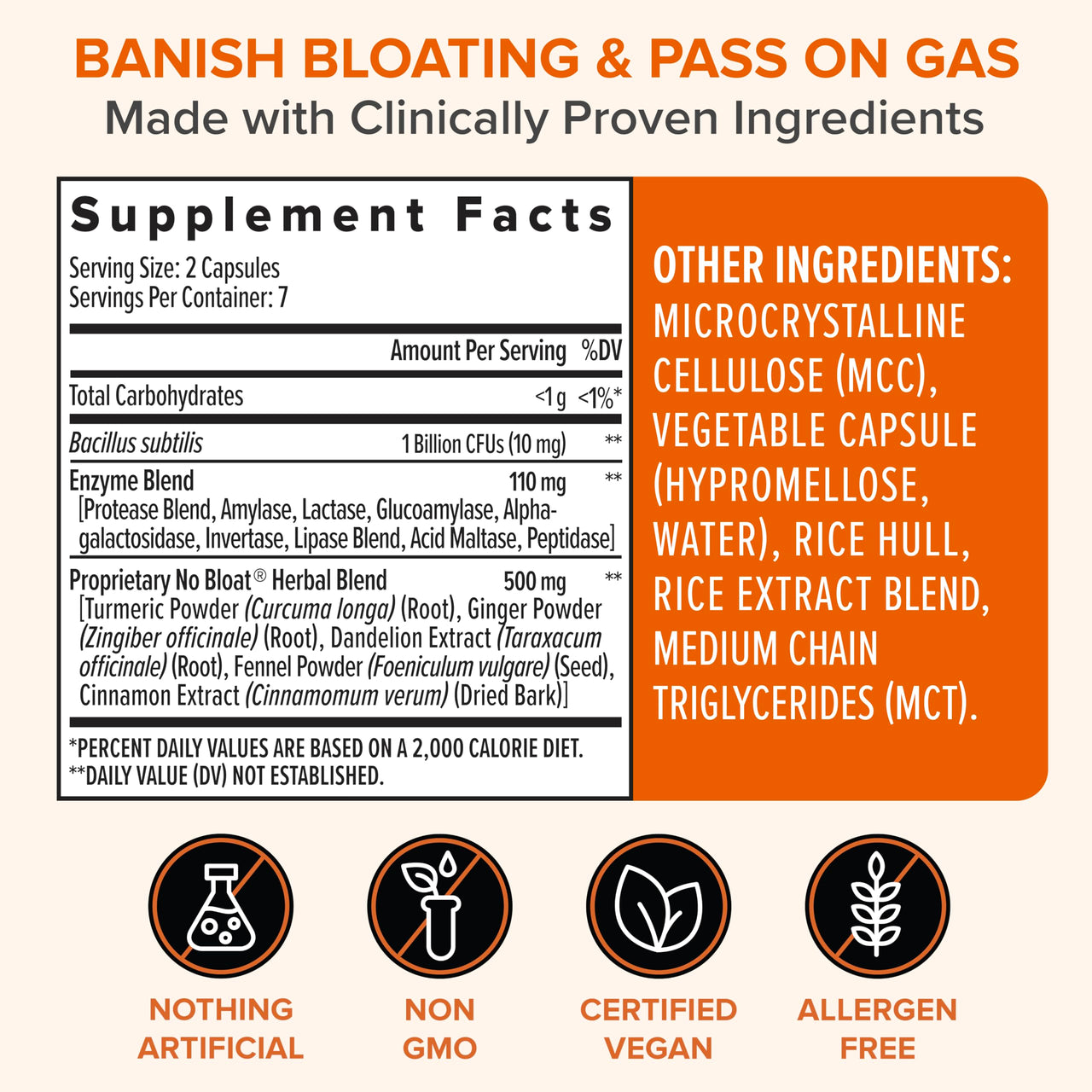 Zenwise Health No Bloat Probiotics for Women and Men Digestive Health with Ginger, Dandelion, and Lactase, Digestive Enzymes for Gas and Bloating Relief - Vegan Water Retention Pills - 14 CT