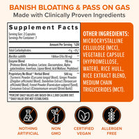 Thumbnail for Zenwise Health No Bloat Probiotics for Women and Men Digestive Health with Ginger, Dandelion, and Lactase, Digestive Enzymes for Gas and Bloating Relief - Vegan Water Retention Pills - 14 CT