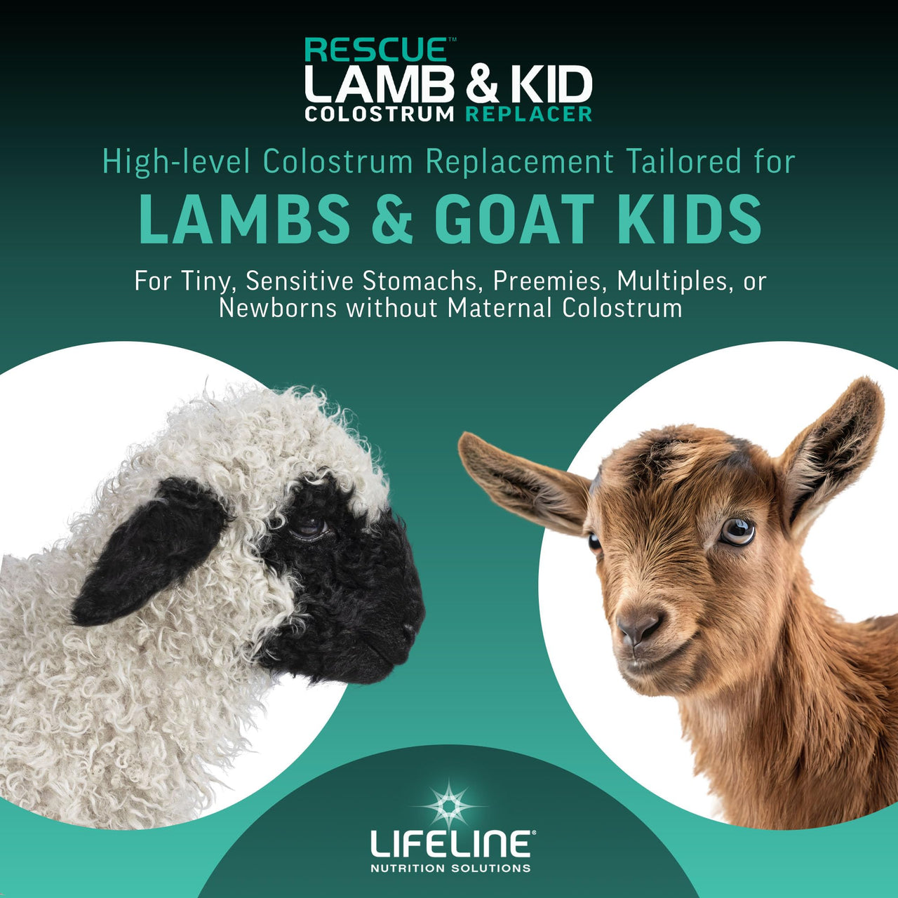 ANNUSO LIFELINE Rescue Lamb & Kid Colostrum Replacer, 1.3lb Bag - 144g Globulin Protein for Newborn Goats & Lambs - Immune Support, Fat, Vitamins, Minerals - Serum-Based, Easy-Mix Formula