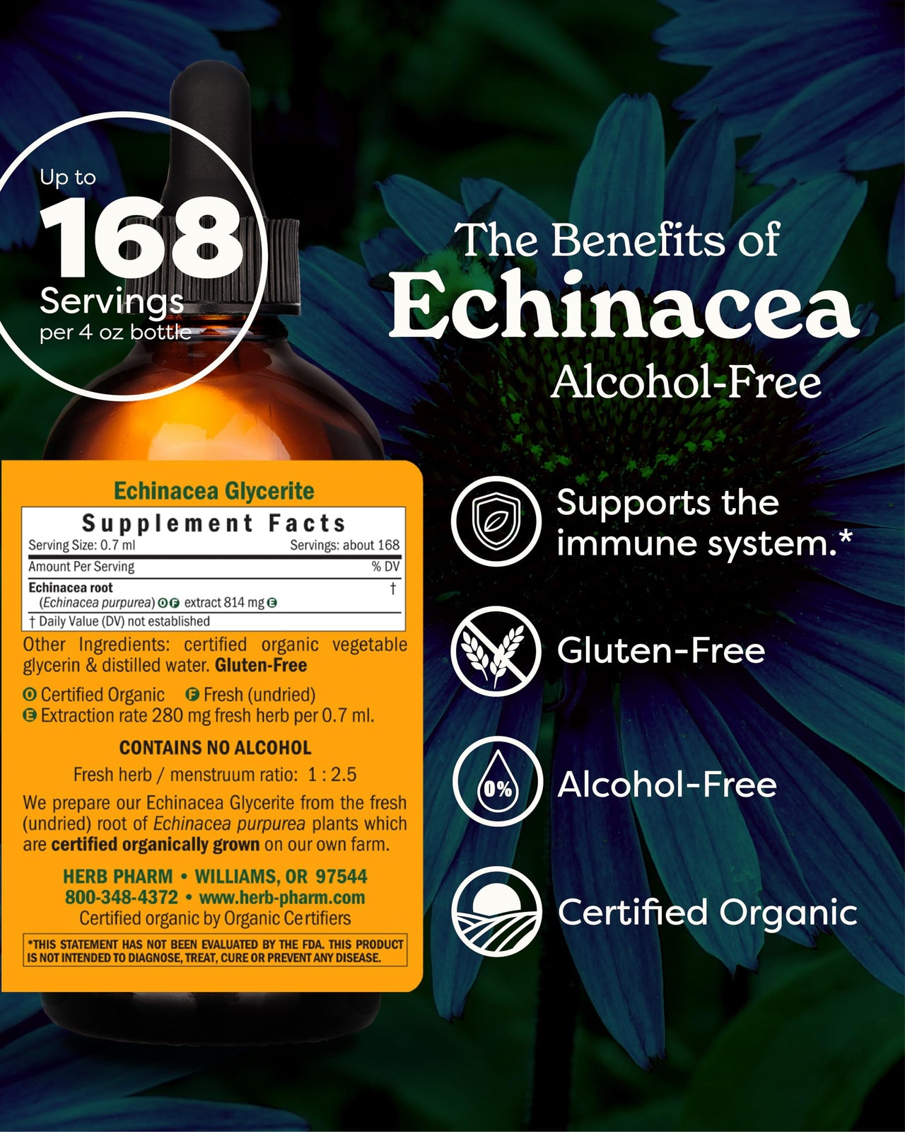 Herb Pharm Certified Organic Echinacea Root Liquid Extract for Immune System Support, Alcohol-Free Glycerite, 4 Ounce