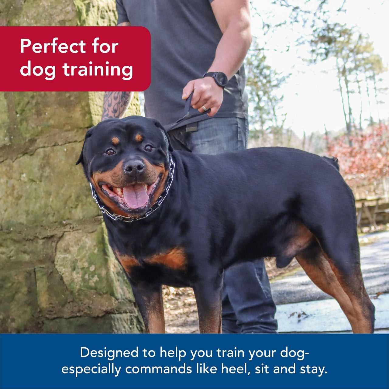 Coastal Pet Titan Dog Prong Training Collar - Rust-Resistant and Prong Metal Training Chain Collar for Dogs - Quality Supplies - 2 mm x 14"